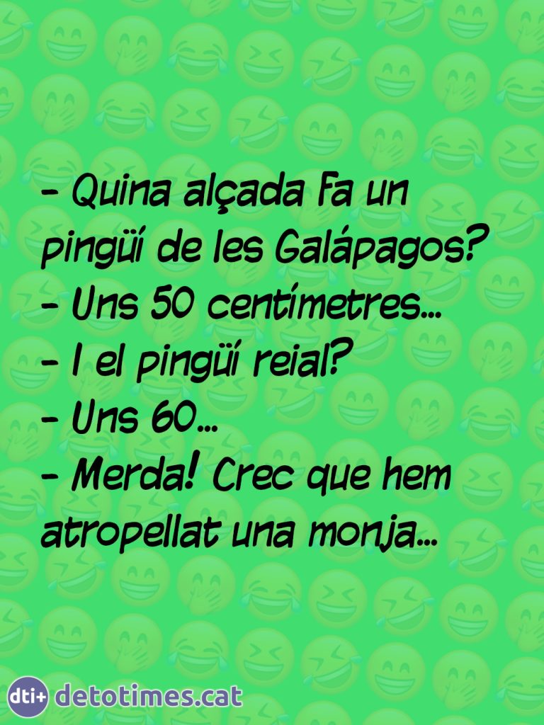 L'alçada dels pingüins...