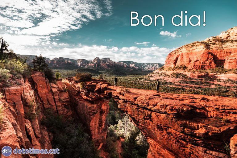 Les millors frases i imatges de Bon dia gratis! | De tot i més!