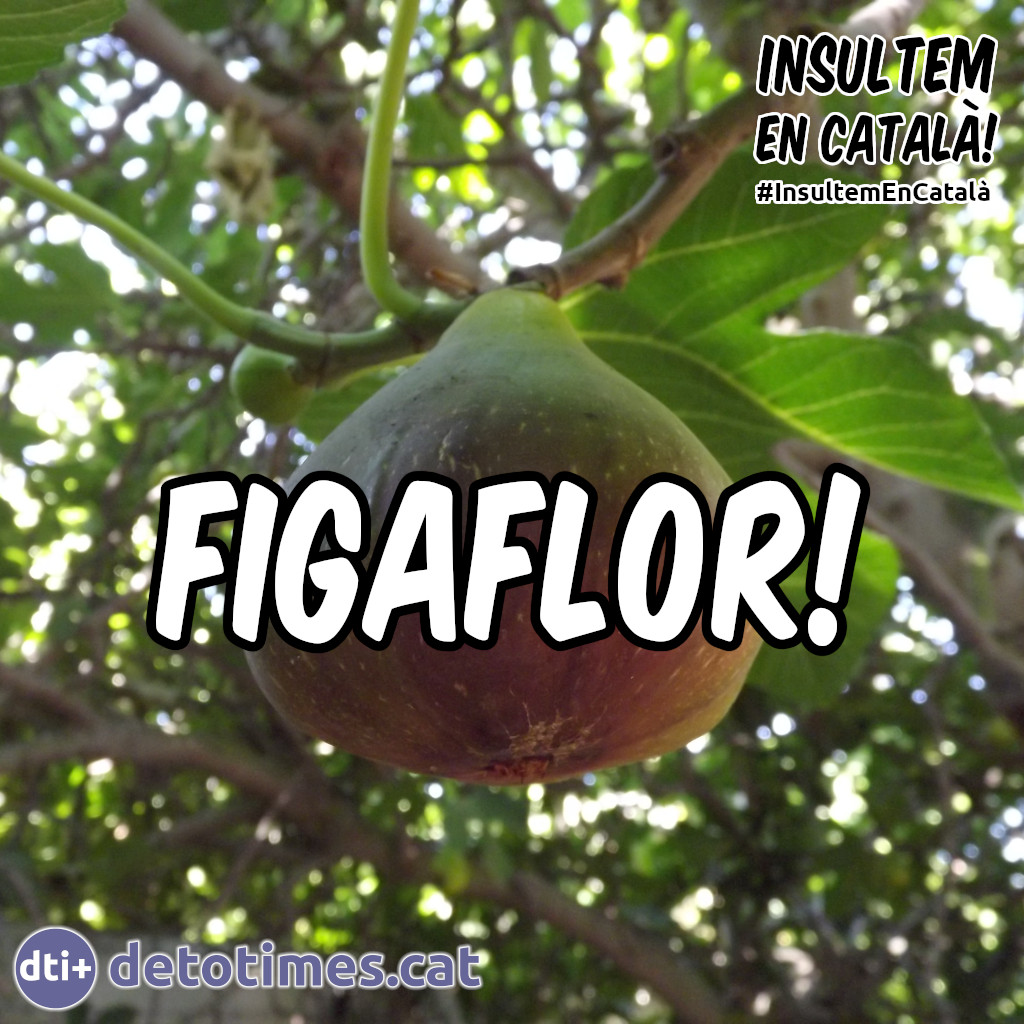 Figaflor! - Insults en català