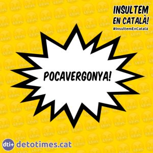 Pocavergonya! - Insults en català